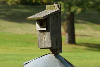 Bird house at Dogwood Hills Golf Course