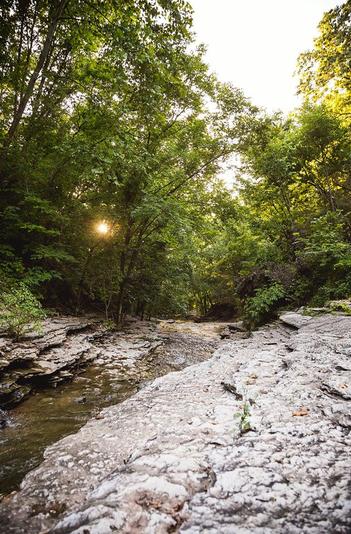 Peeking Sun from behind Trees, Water Flowing with Rocks