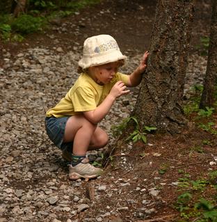 A Kid Besides Tree in Tanyard Creek