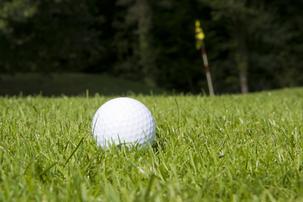 Golf Ball on the Ground, Scotsdale Golf Course