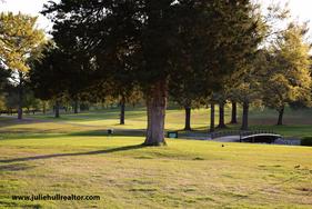 Trees and Ground at Kingswood Golf Course