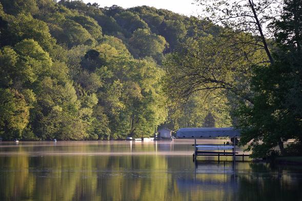 Lake Ann Park with Dense Trees