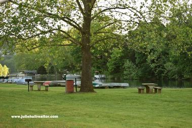 Lake Ann Park with A Big Tress and Tables