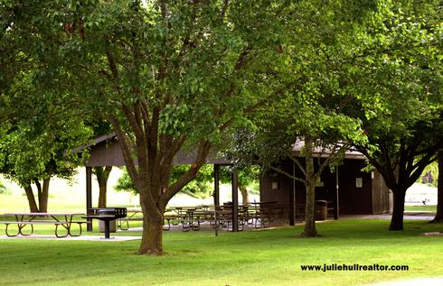 Trees, Bench and Chairs at Lake Avalon Park