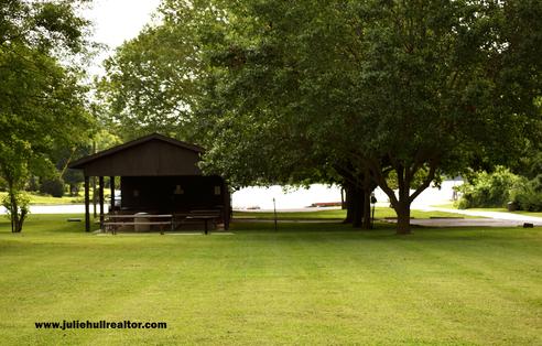 Trimmed Grass cover, Trees and House