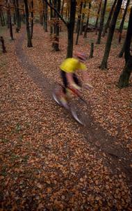 High Angle View of a Person Mountain Biking