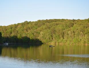 Sunshine over Forest and Lake Norwood