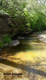 Water Flowing in Tanyard Creek Hiking Trail