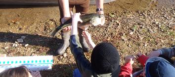 Kids Holding a Fish, Bella Vista Area