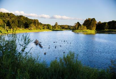 Beautiful View of Lake Bella Vista and Forest