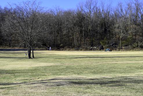 Ground and Trees at Loch Lomond Recreation Complex