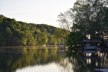 Trees Reflection on Lake Ann