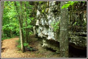 Rock Formations and Trees at Tanyard Creek