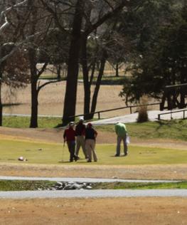 Golf Players in Action, Berksdale Golf Course