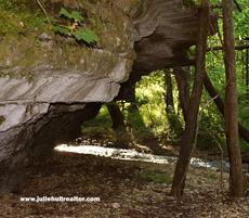 Rock Structure with Trees