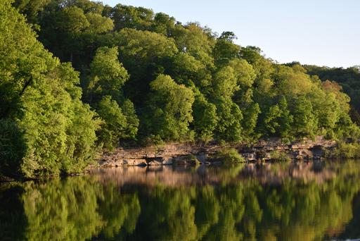 Reflection of Trees on Lake Ann Water