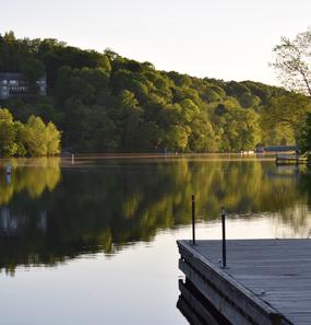 Dense Forest, Lake Ann and Deck