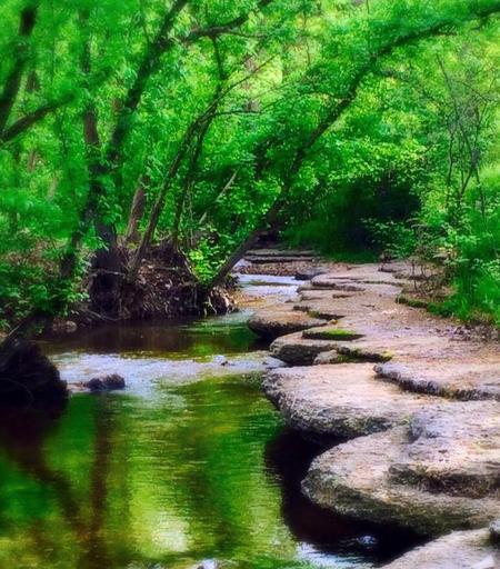 Rock Formations, Trees Reflections Over Water