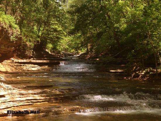 Interiors of Tanyard Creek, Water Flowing over Rocks