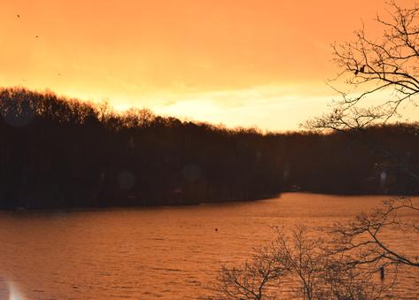 Sunset over Lake Brittany, Dense Forest