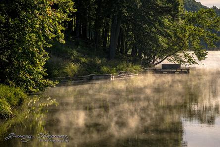 Trees on the Bank of Lake Rayburn, Arkansas