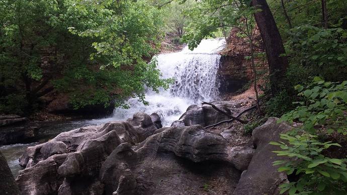 Exposed Roots, Water Fall over Rocks