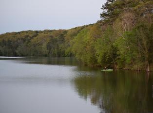 Reflection of Trees over Lake Norwood