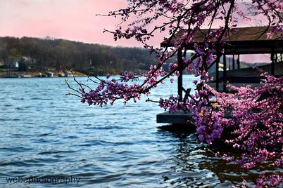 Flowers, Shade and Lake Windsor