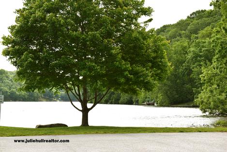 Lake Avalon Park with Trees and White Land