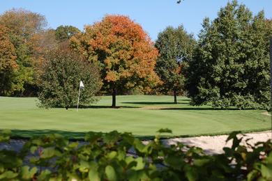 Group of Trees, Pin and Greenery